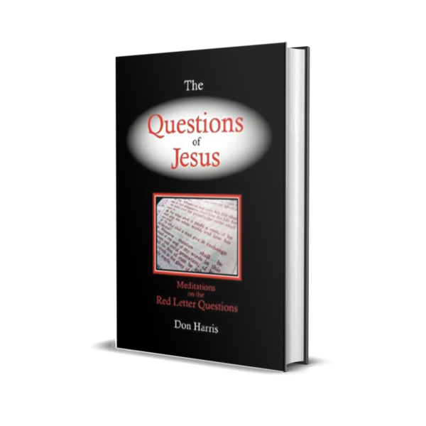 Questions of Jesus 3D cover