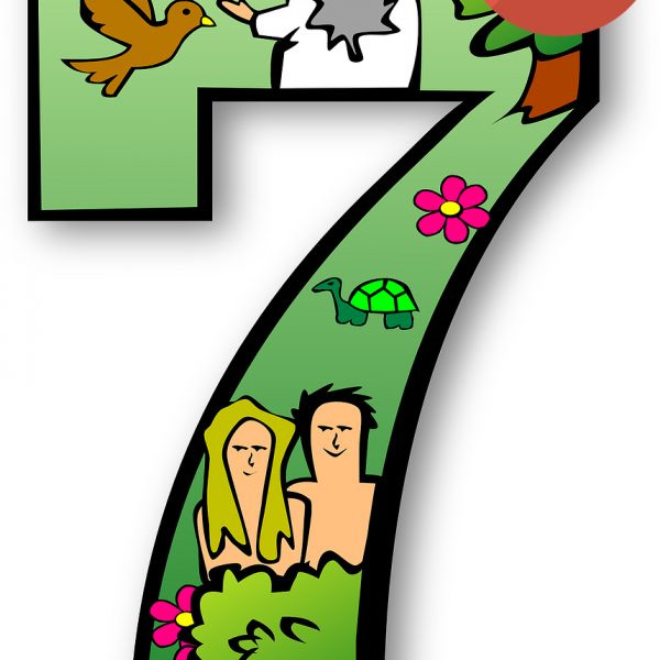 seven_day_sabbath_video